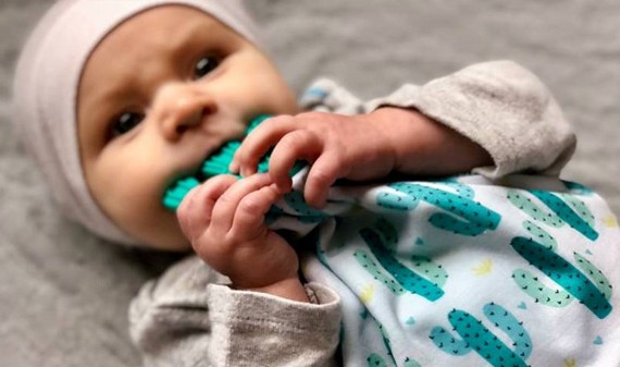 image de la Collection 